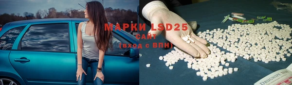 винт Гусь-Хрустальный