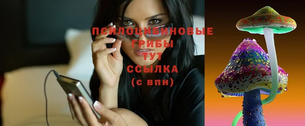 соль курить ск Гусев