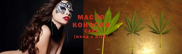 винт Гусь-Хрустальный