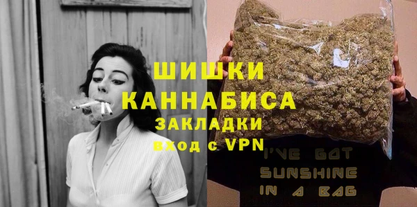винт Гусь-Хрустальный